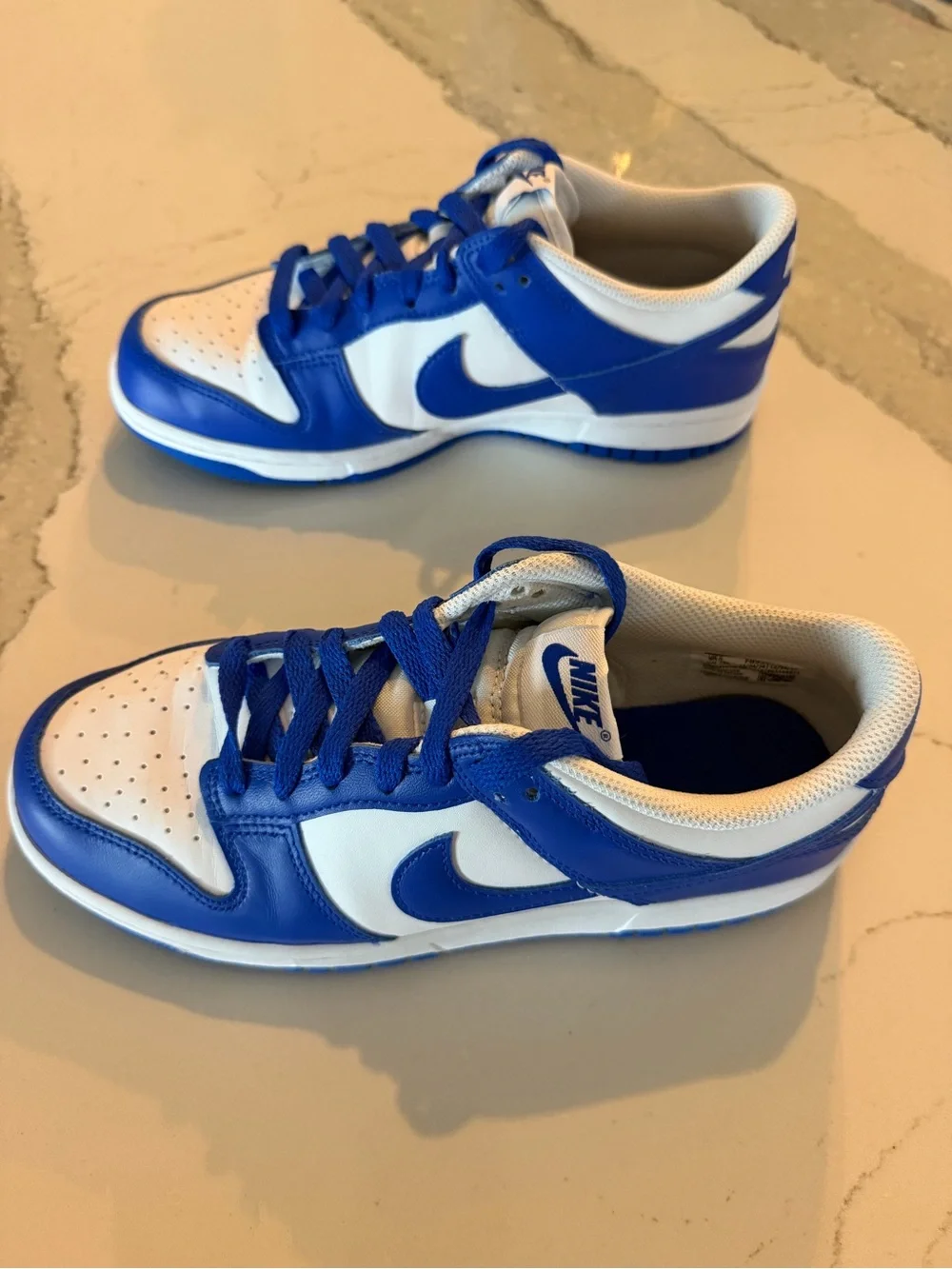 Nike Dunk Royal Blue and White Low-Top Sneakers
